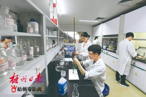 梧州雙雄展科技實力，高新技術企業百強再創佳績
